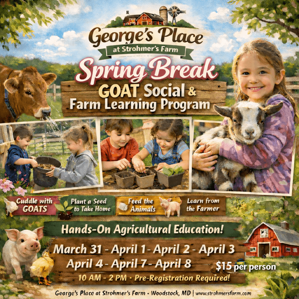 Spring Family Fun at Strohmer's Farm: A Day at the Farm — Easter Edition in Woodstock, MD
