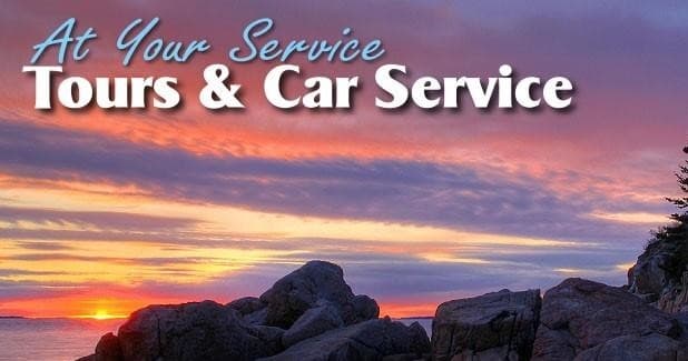 At Your Service Tours fleet