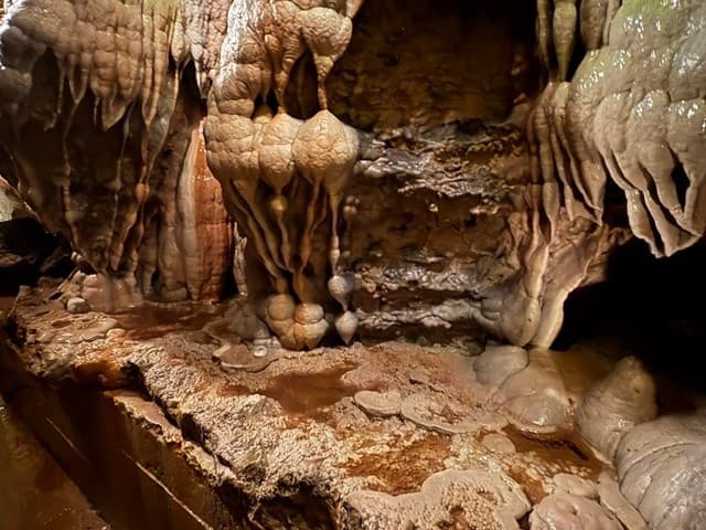 Linville Caverns Guided Tour: 35-Minute Accessible Cave Experience Near Marion NC