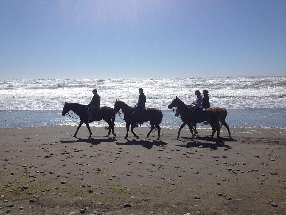 Horseback Adventures with Crescent Trail Rides at Tolowa Dunes