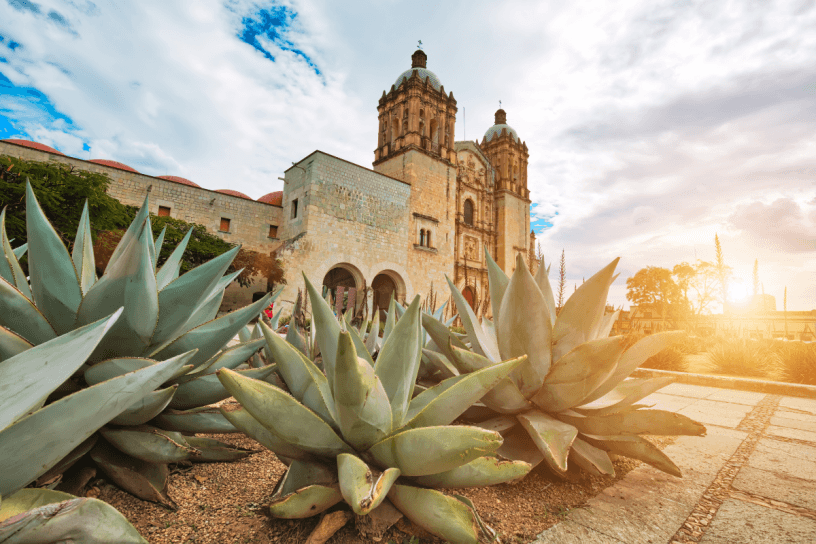 Urban Cultural Adventure with EcoExperiencias Tour Operators in Oaxaca