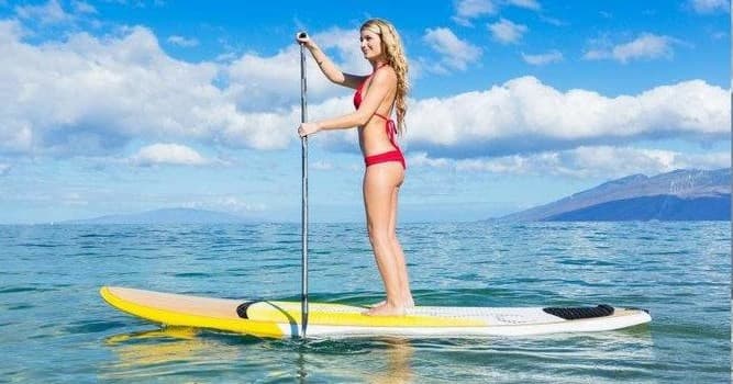 Stand-up paddleboarder paddling calm ocean waters near shoreline