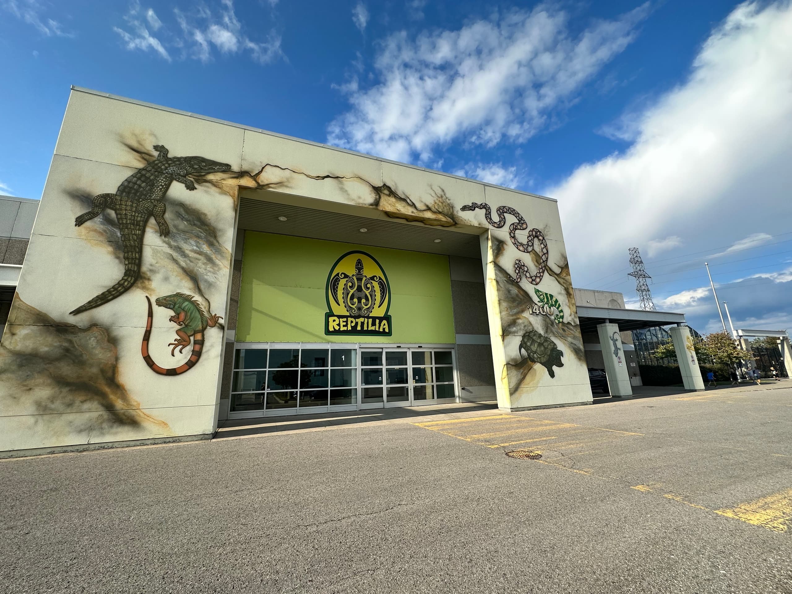 Reptilia exterior mural on building facade under blue sky
