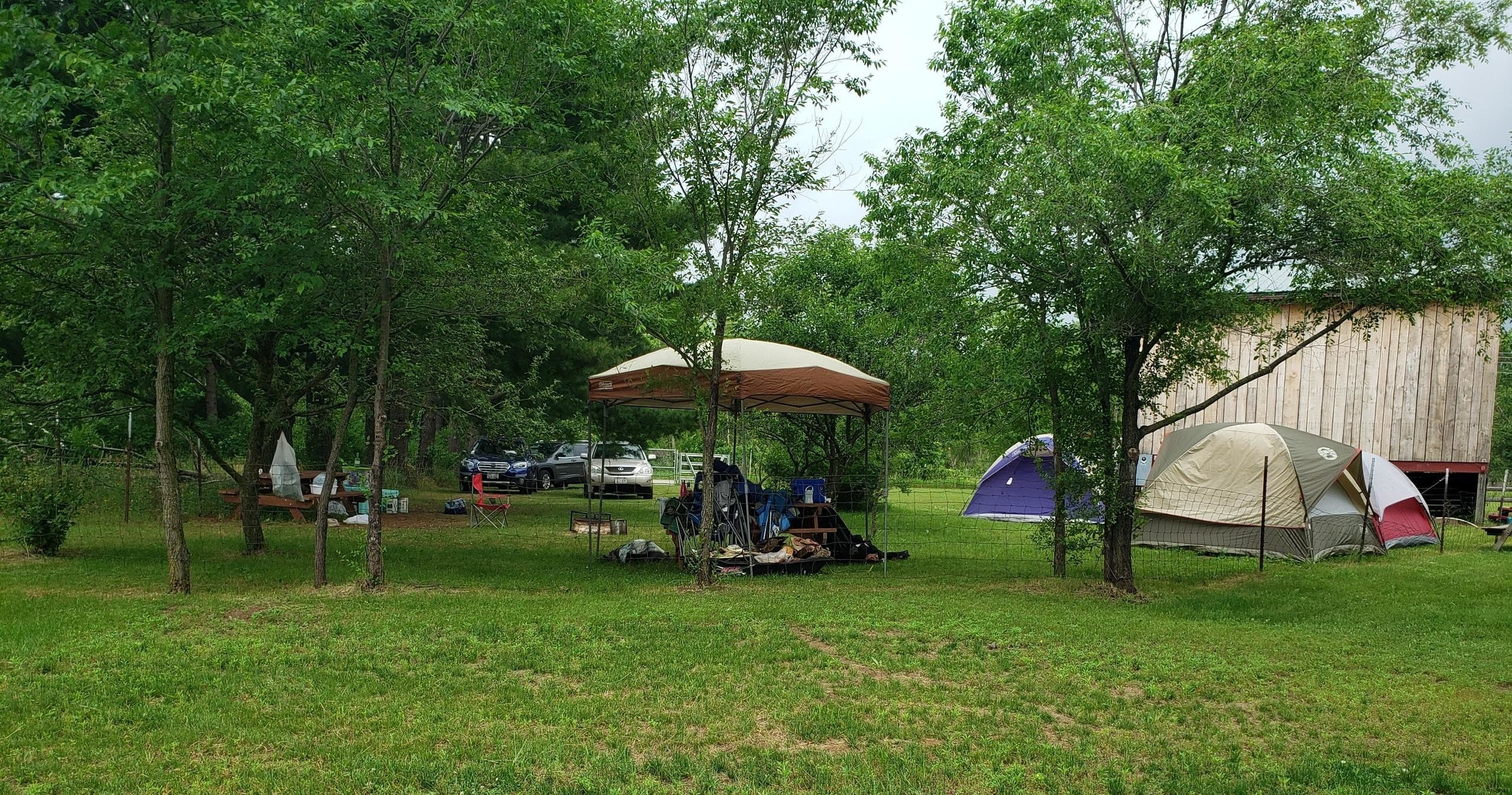 Tented campsite under trees with picnic area and grills