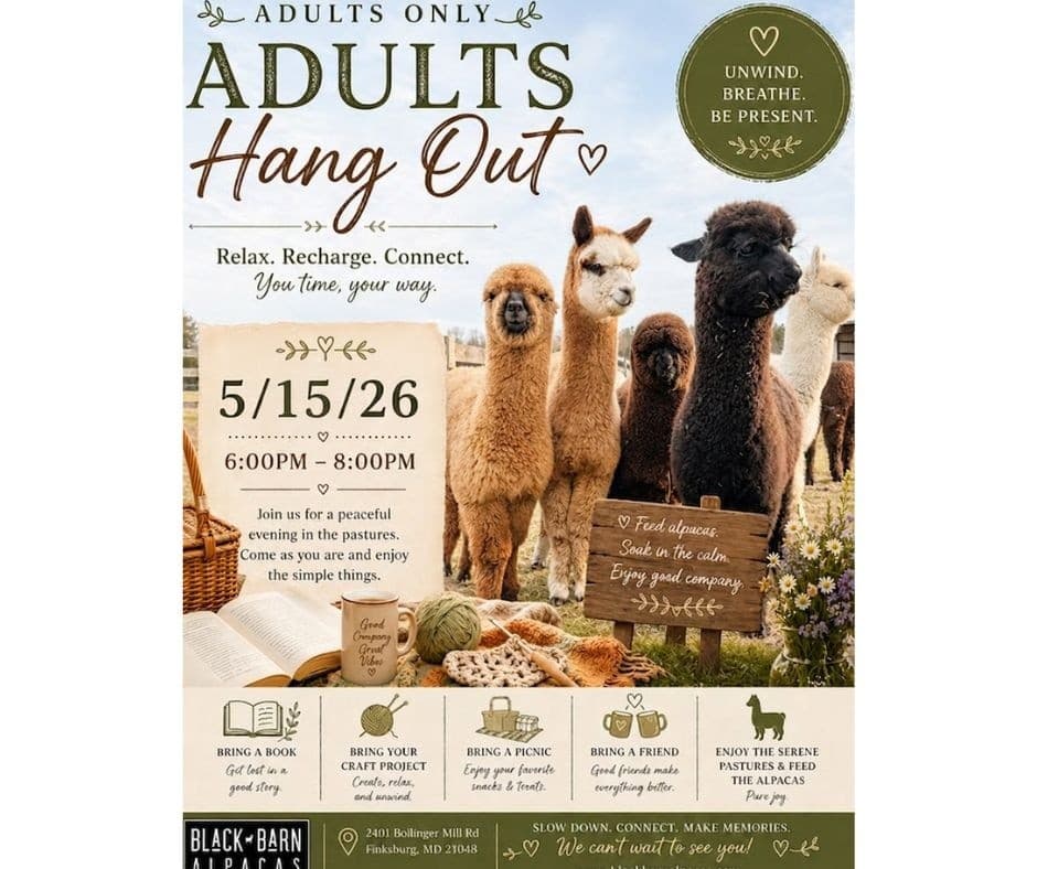 Happy Hour Hangout: Adults-Only Alpaca Pasture in Finksburg, MD photo 3