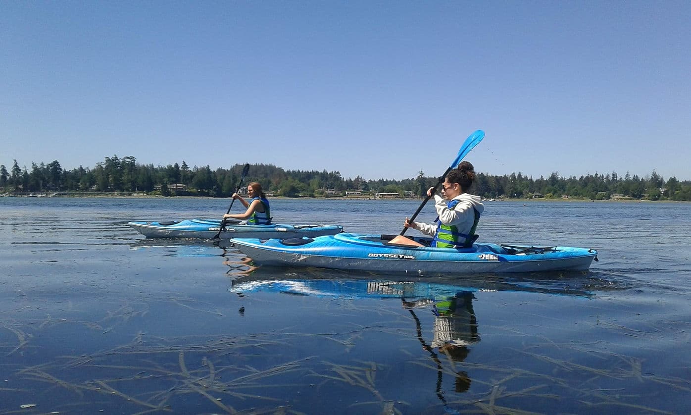 Explore Sooke Basin Kayak Tours in British Columbia