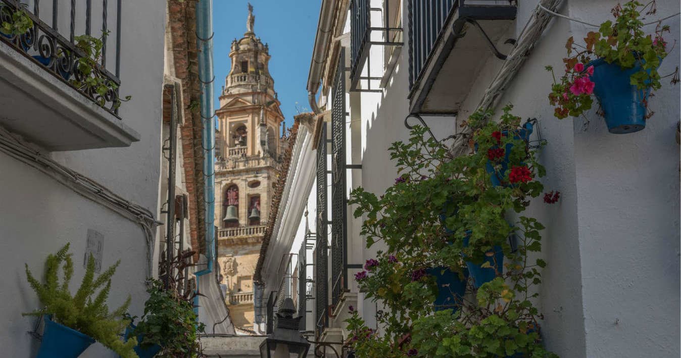 Cultural Walking Tour: Free Tour de las 3 culturas by OWAY Tours
