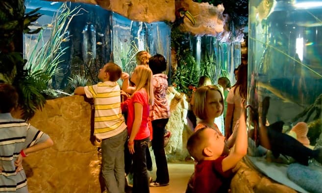 Explore Kemah Aquarium Exhibit Tour in Texas