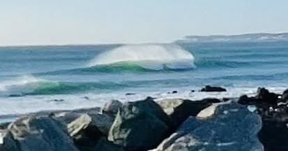 Liquid Dreams Surf Shop team