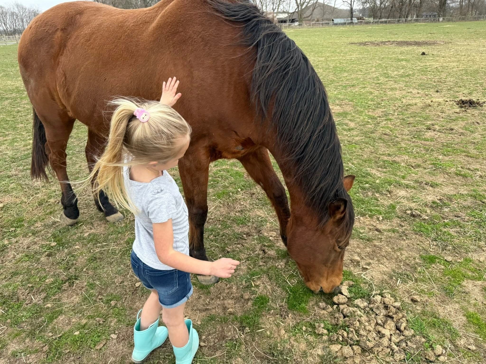Pasture Ride in Noblesville: 40–60 Minute Horseback Ride Near the Barn