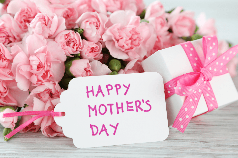 All You Can Eat Mother’s Day Cruise on the Danube in Bratislava