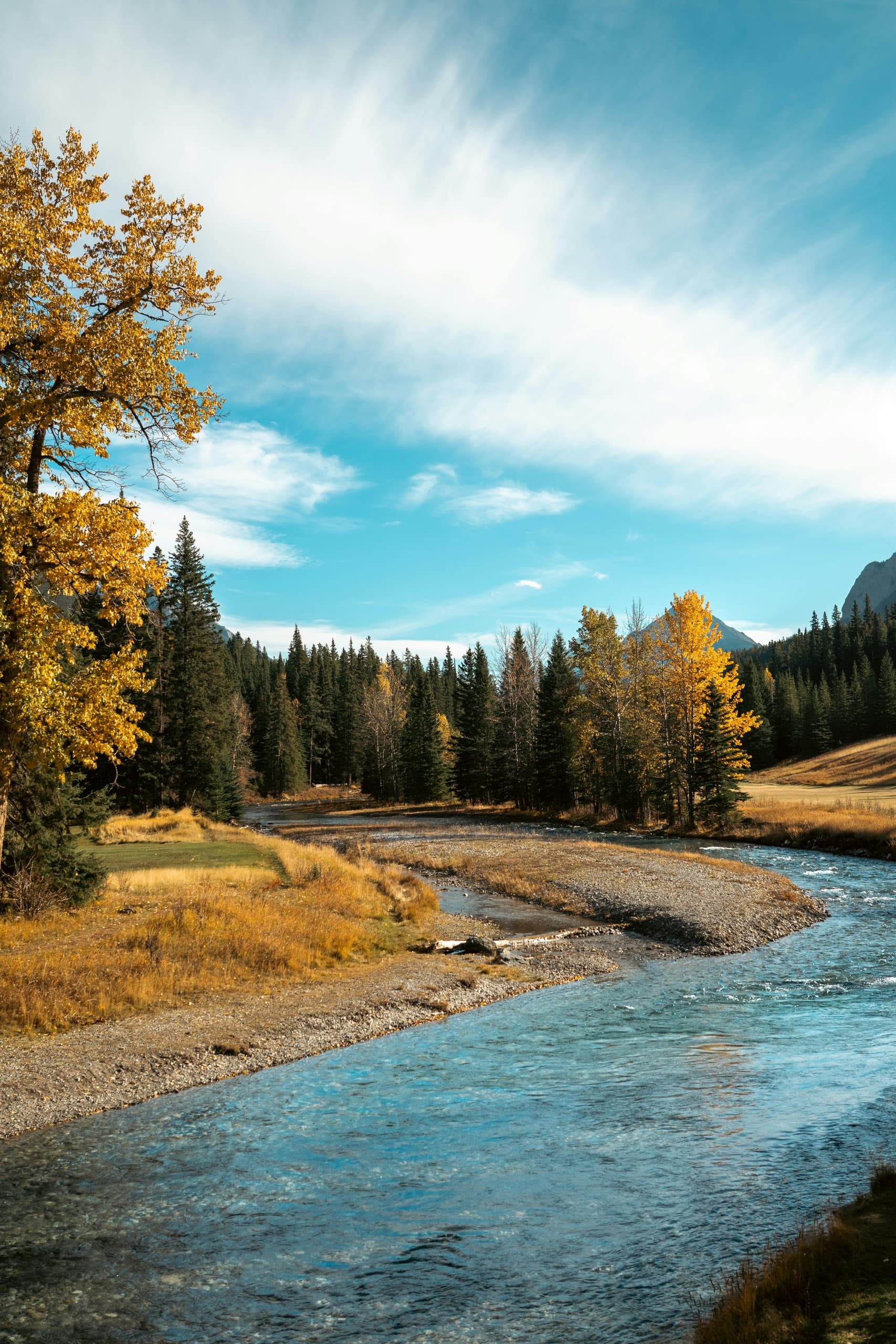 Four-Day Canadian Rockies Explorer: Icefields Parkway, Lake Louise & Jasper photo 4