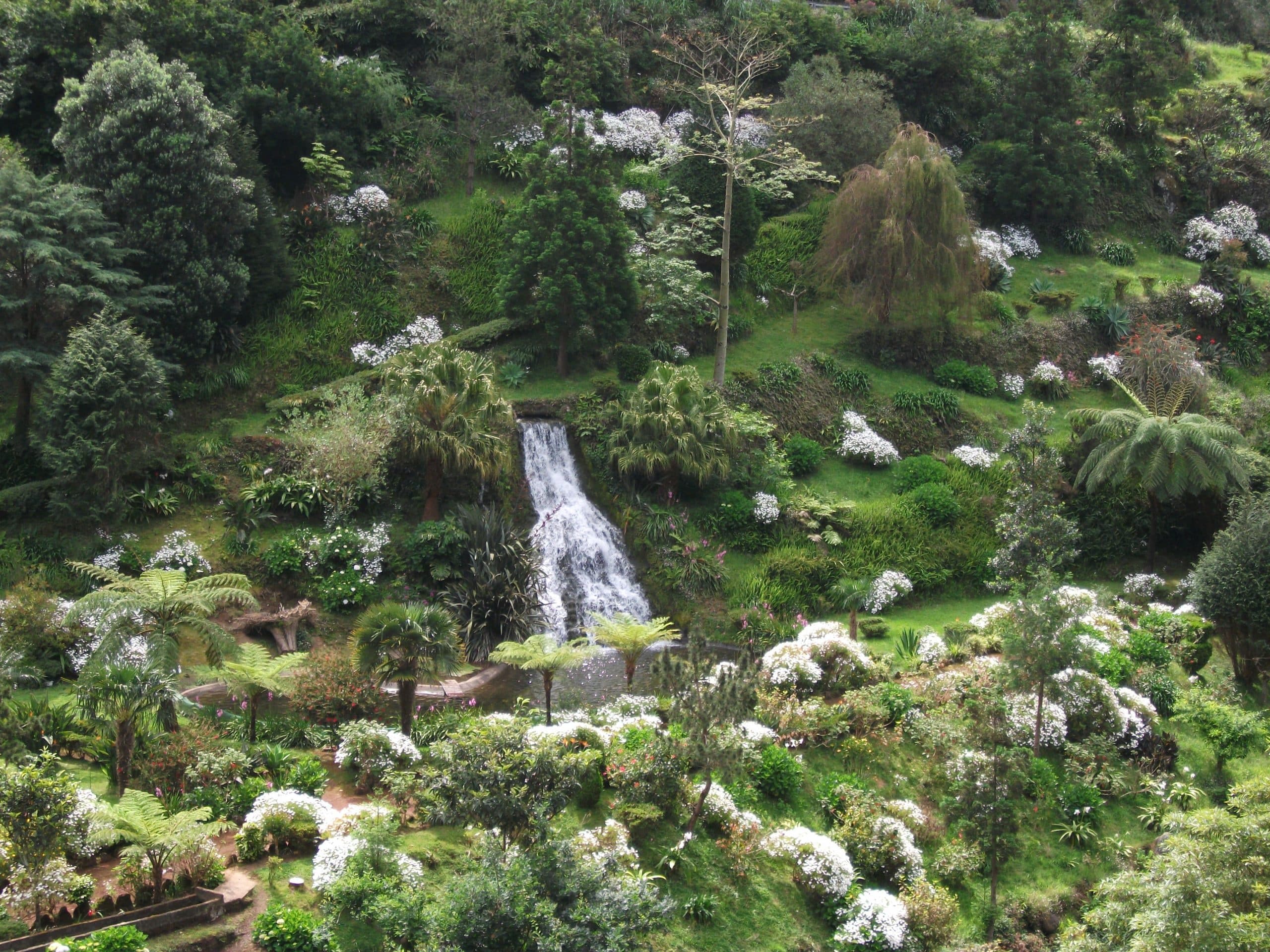Pedro Ferreira Azores Tours: Nordeste Full-Day Adventure