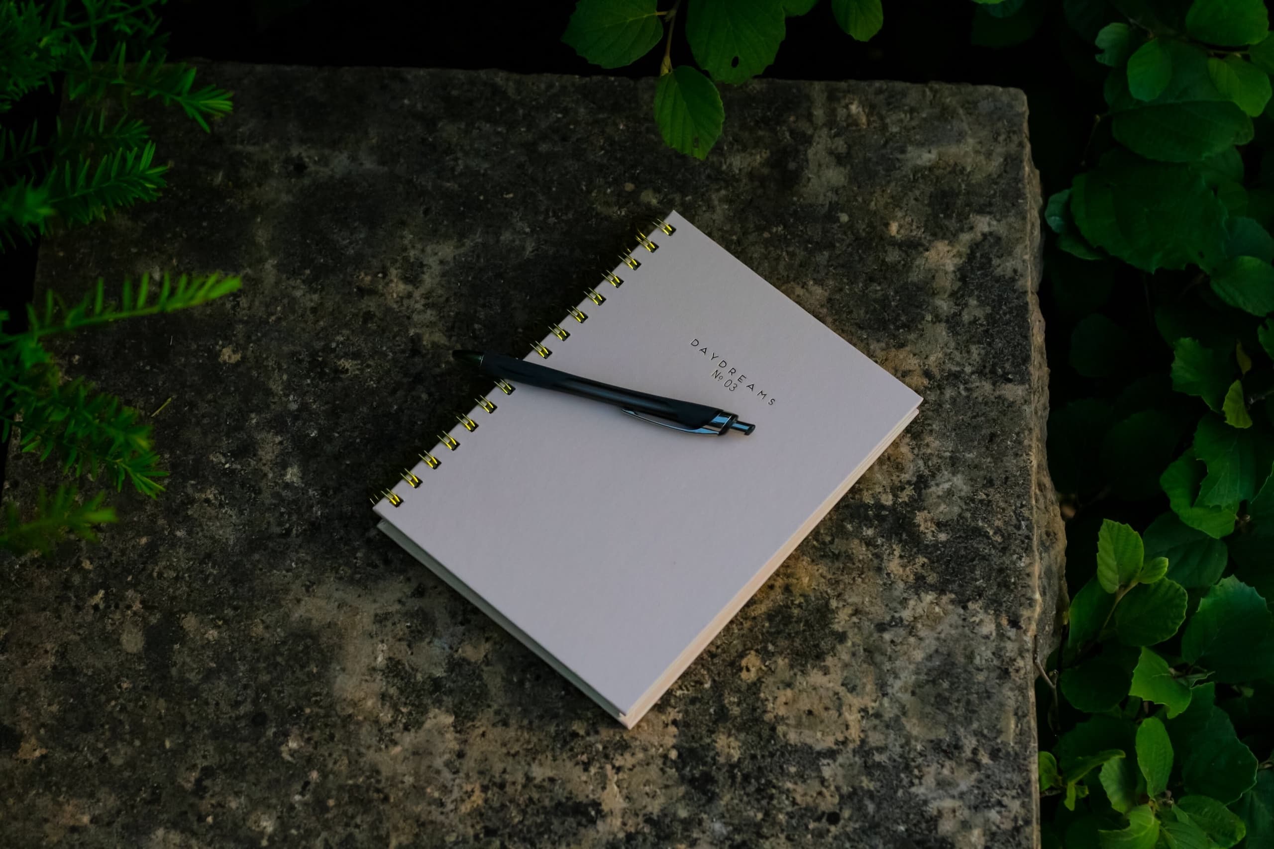 Outdoor Education & Nature Journaling at Glacier Institute
