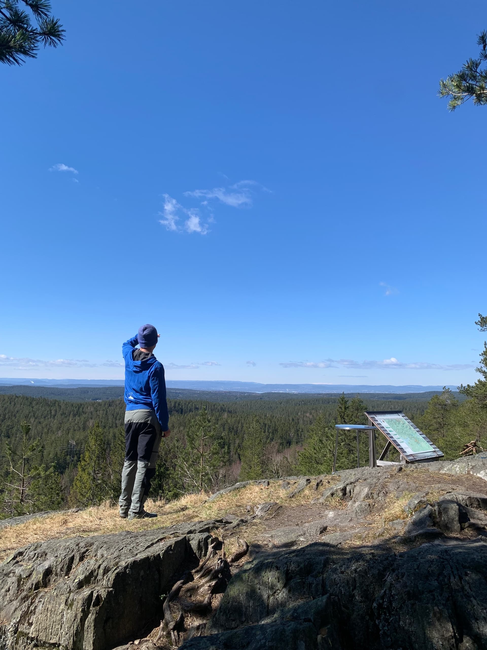 Hiking Østmarka National Park with WildOslo