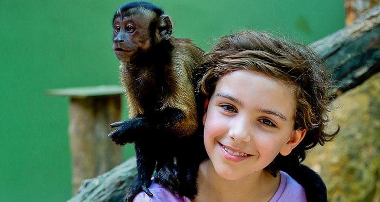 Wildlife & Nature: Monkey Sanctuary Tour in Akumal, Mexico