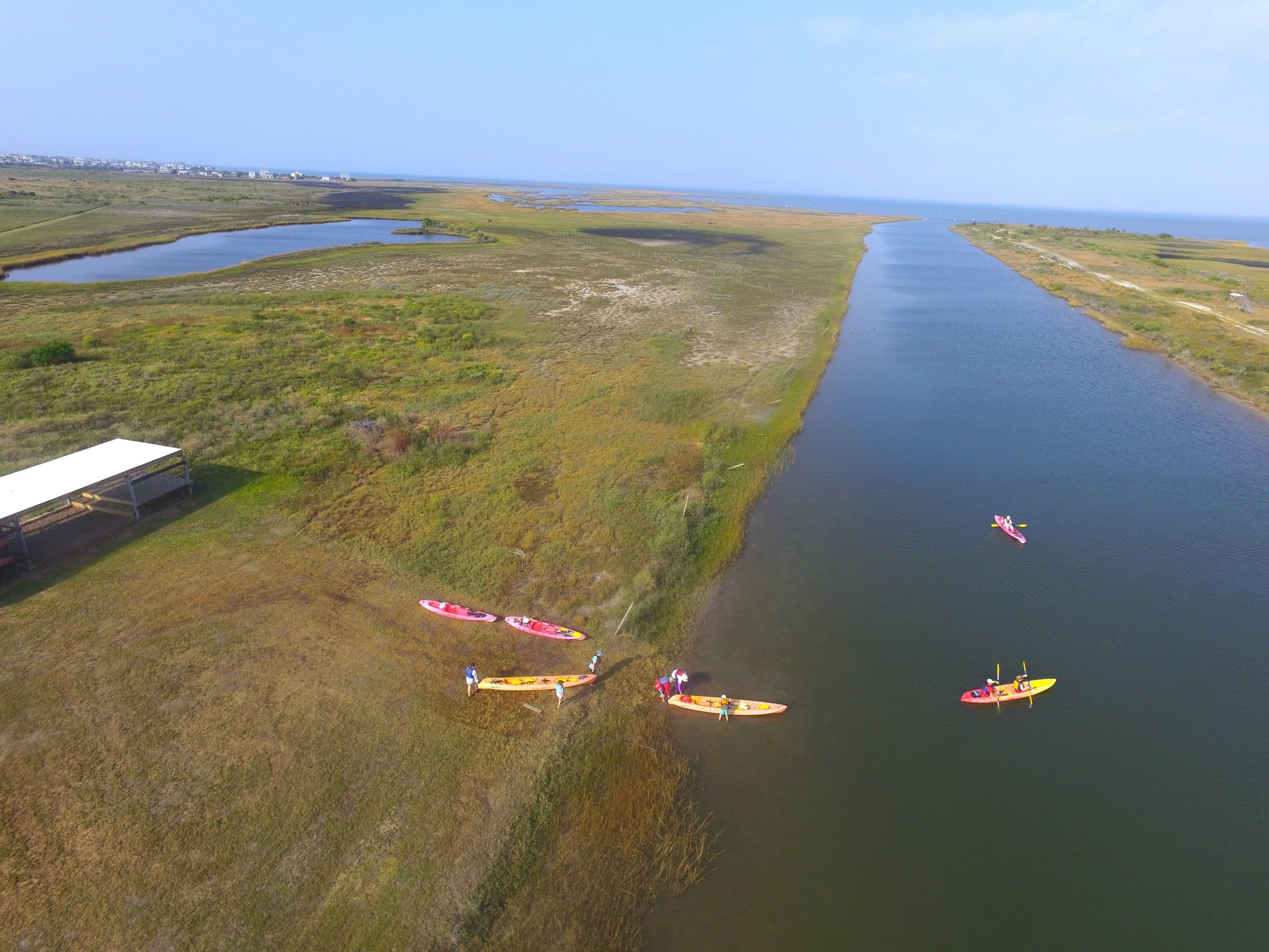 Fall Eco-Art Camp on Galveston Island: A Unique Outdoor Adventure Blending Nature and Creativity