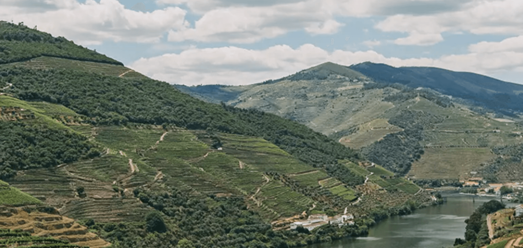 Caminho dos Sobreiros at Quinta de Ventozelo in Portugal