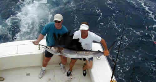 Two anglers holding marlin on a sportfishing boat offshore