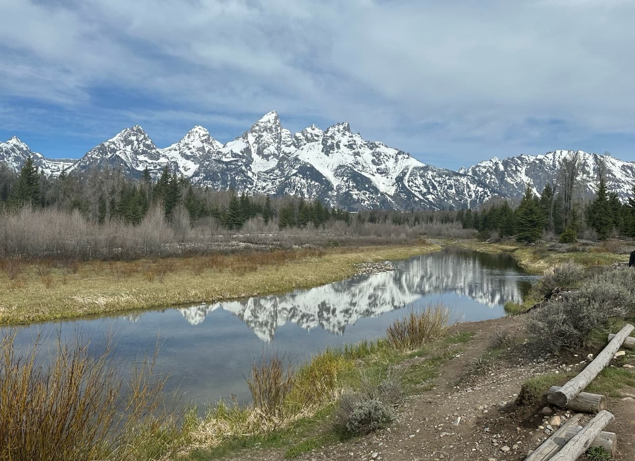 Private Grand Teton Scenic & Wildlife Tour — Custom Wildlife Viewing from Jackson