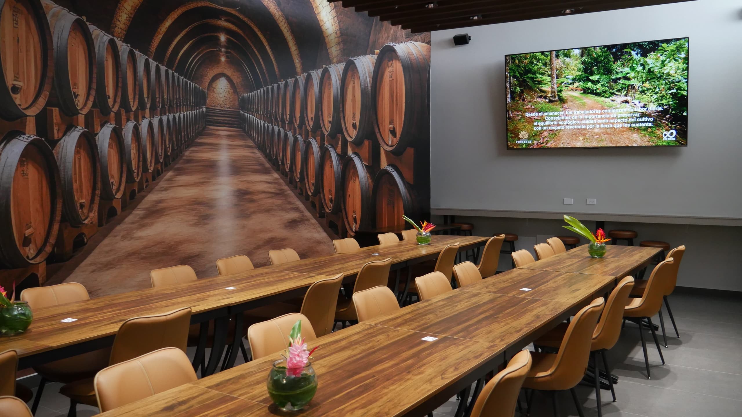 Mezcal & Chocolate: Artisanal Tasting at Hacienda Chocolat in Río Grande photo 1