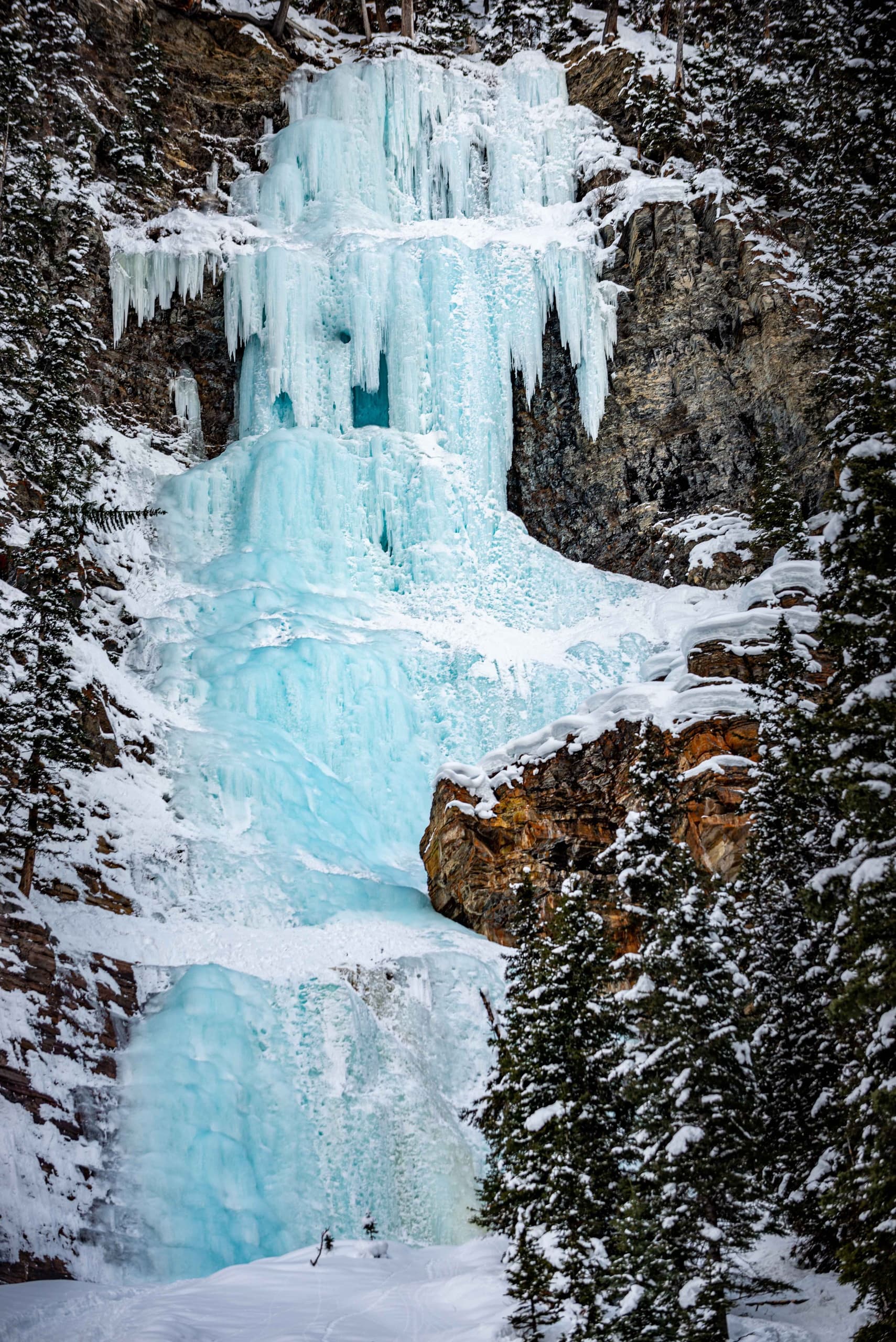 Starlit Ice Walk: Johnston Canyon Night Walk & Stargazing Near Banff photo 2