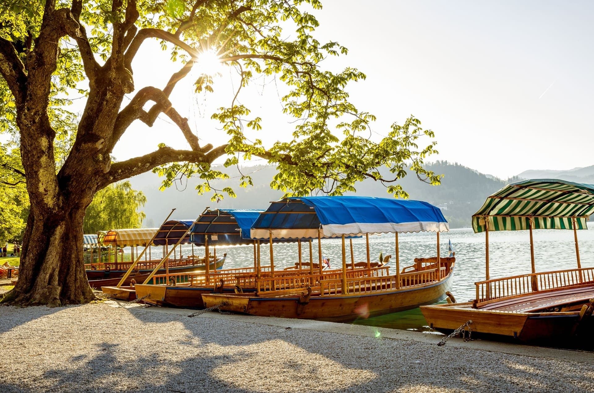 Sail Lake Bled: Island Church, Bled Castle & Alpine Views