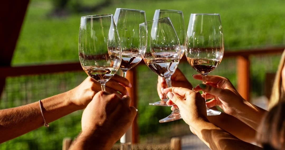 Wine Tasting in Viseu at Silvã de Cima Vineyard