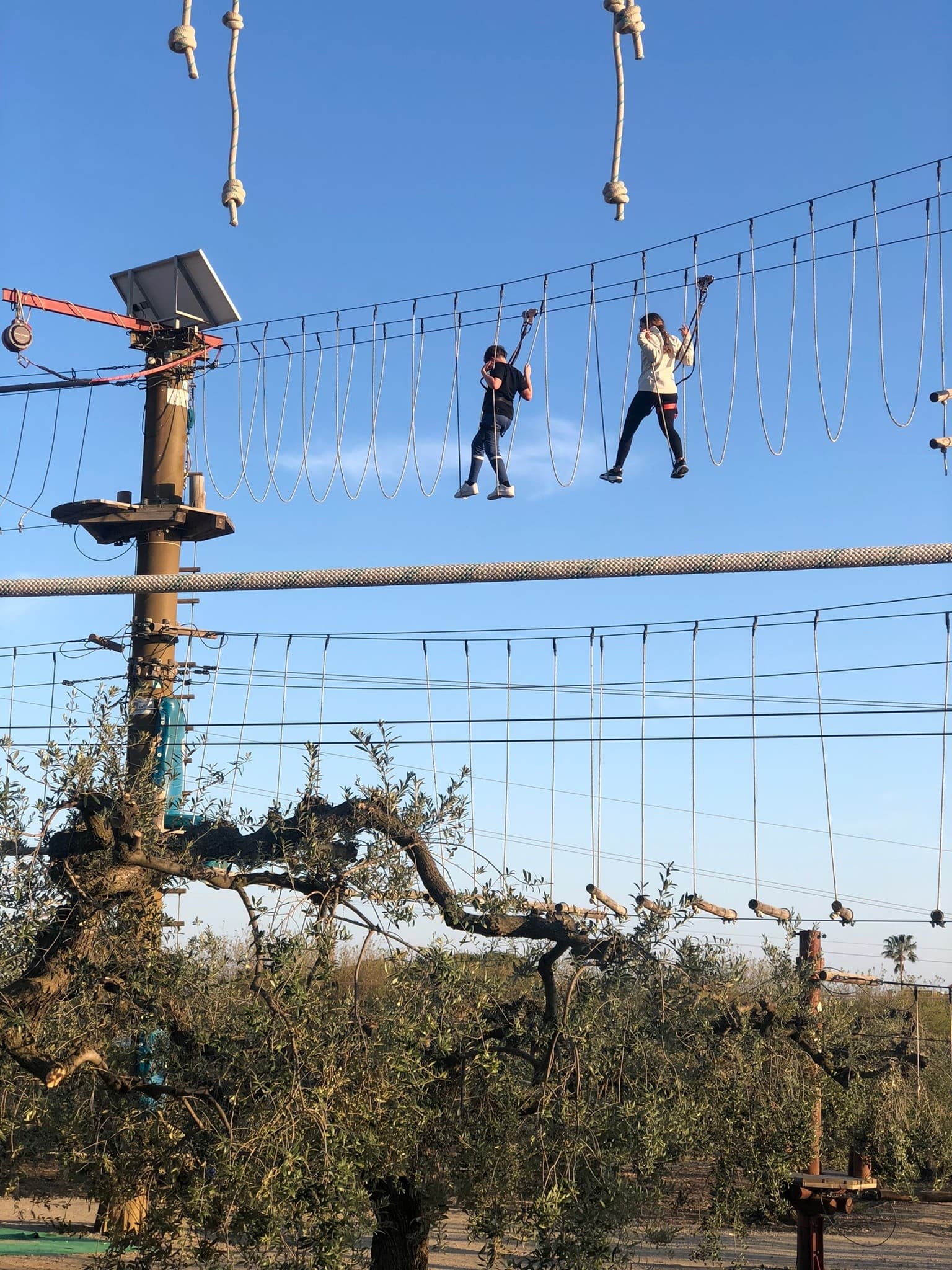 Birthday Zipline Adventure in Cambrils: MegaJump Parties for Teens photo 4