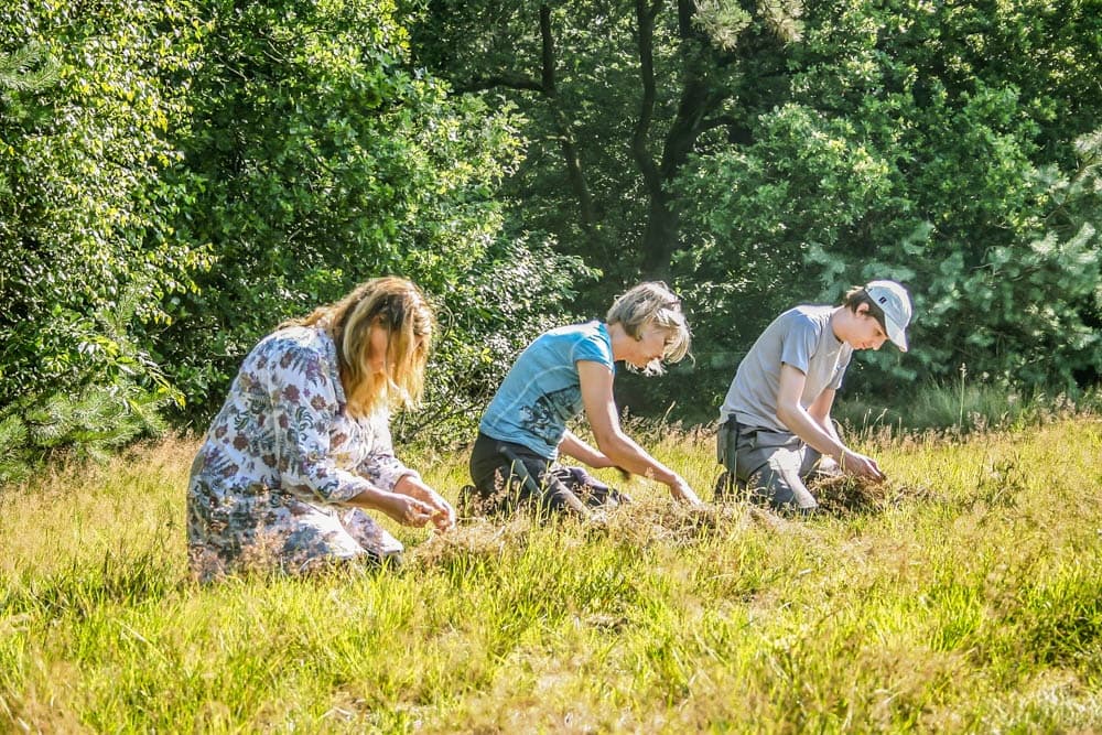 Bushcraft Introductie: Hands-On Wilderness Skills Near Leersum, Utrecht photo 4