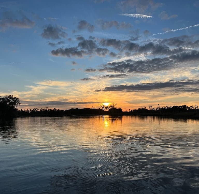Nature River Tour: Two-Hour Wildlife Boat Cruise