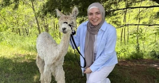 Overnight Alpaca Trek at Heritage Farm Near Flora, IN — Hands-On Alpaca Experience