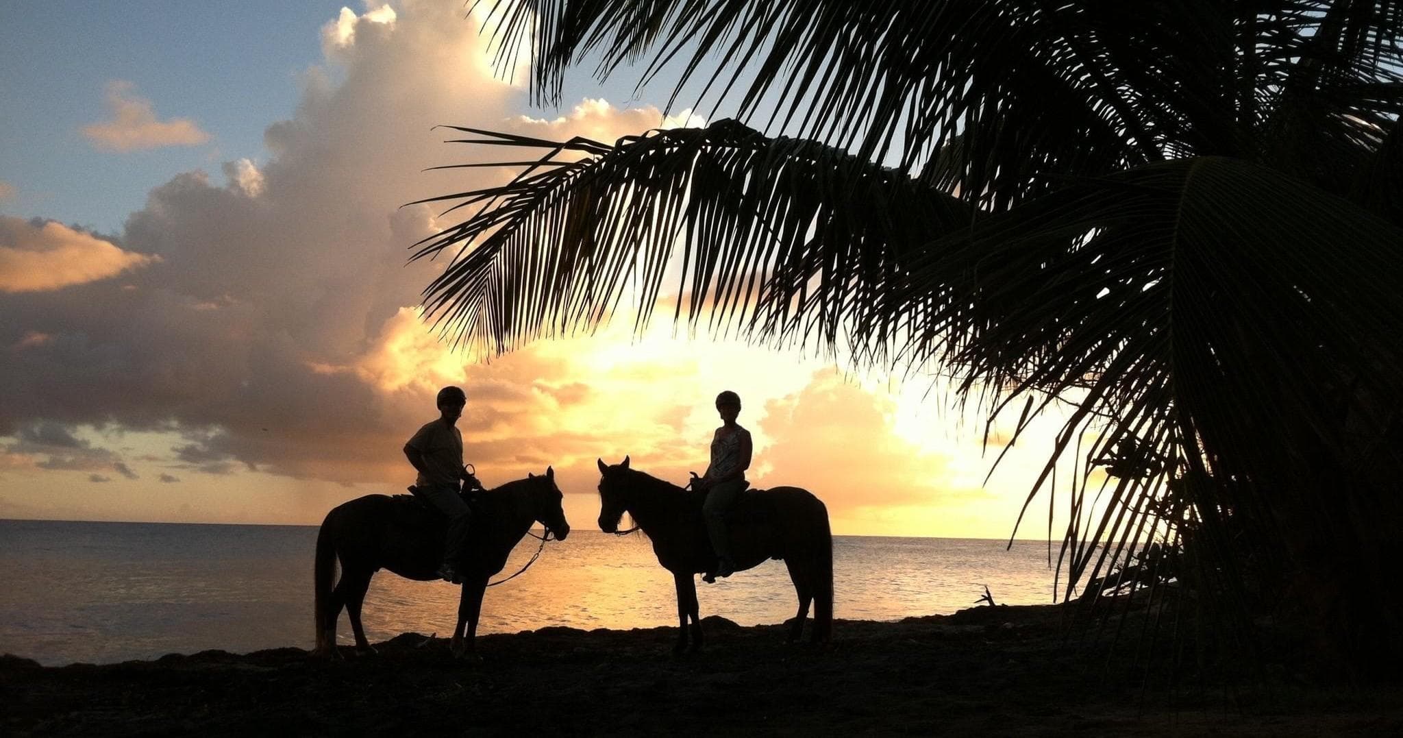 Esperanza Riding Company - Vieques fleet