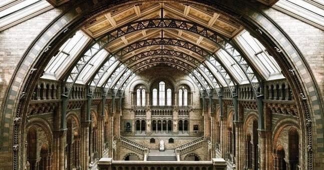 Explore London’s Premier Museums with a Private Spanish-Language Guided Tour