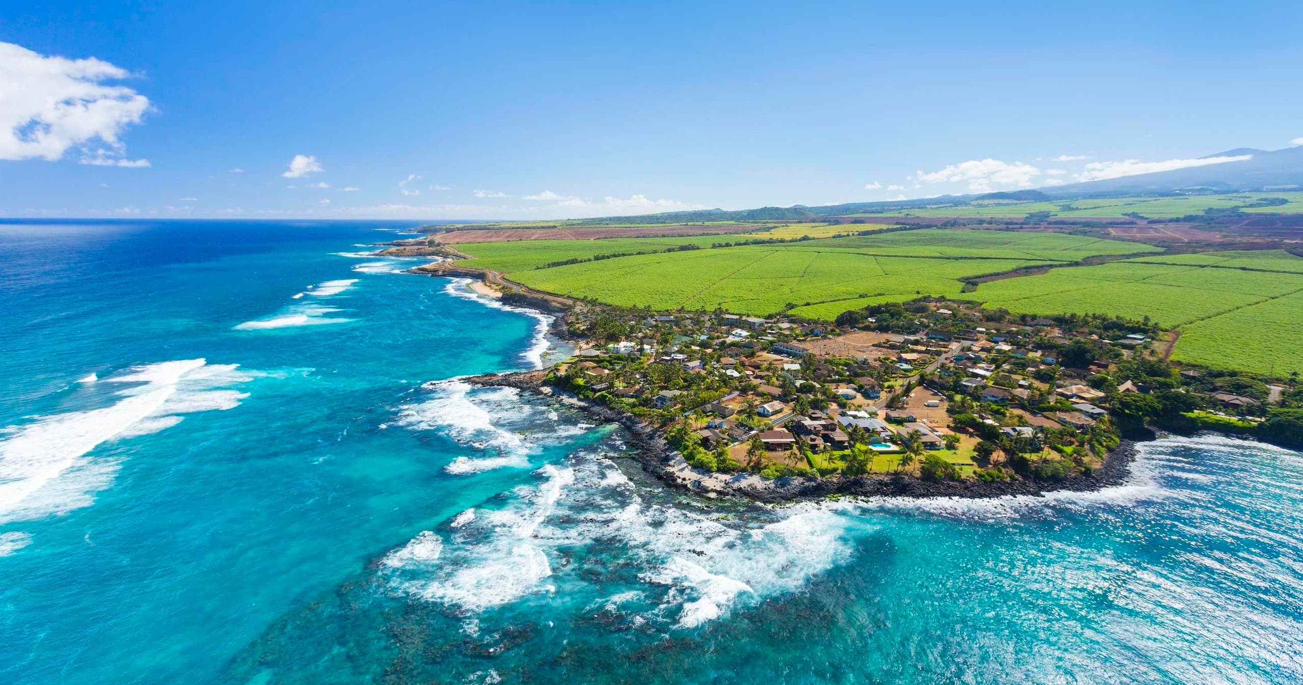 Maui Halfway to Hana Tour by Local Maui Tours