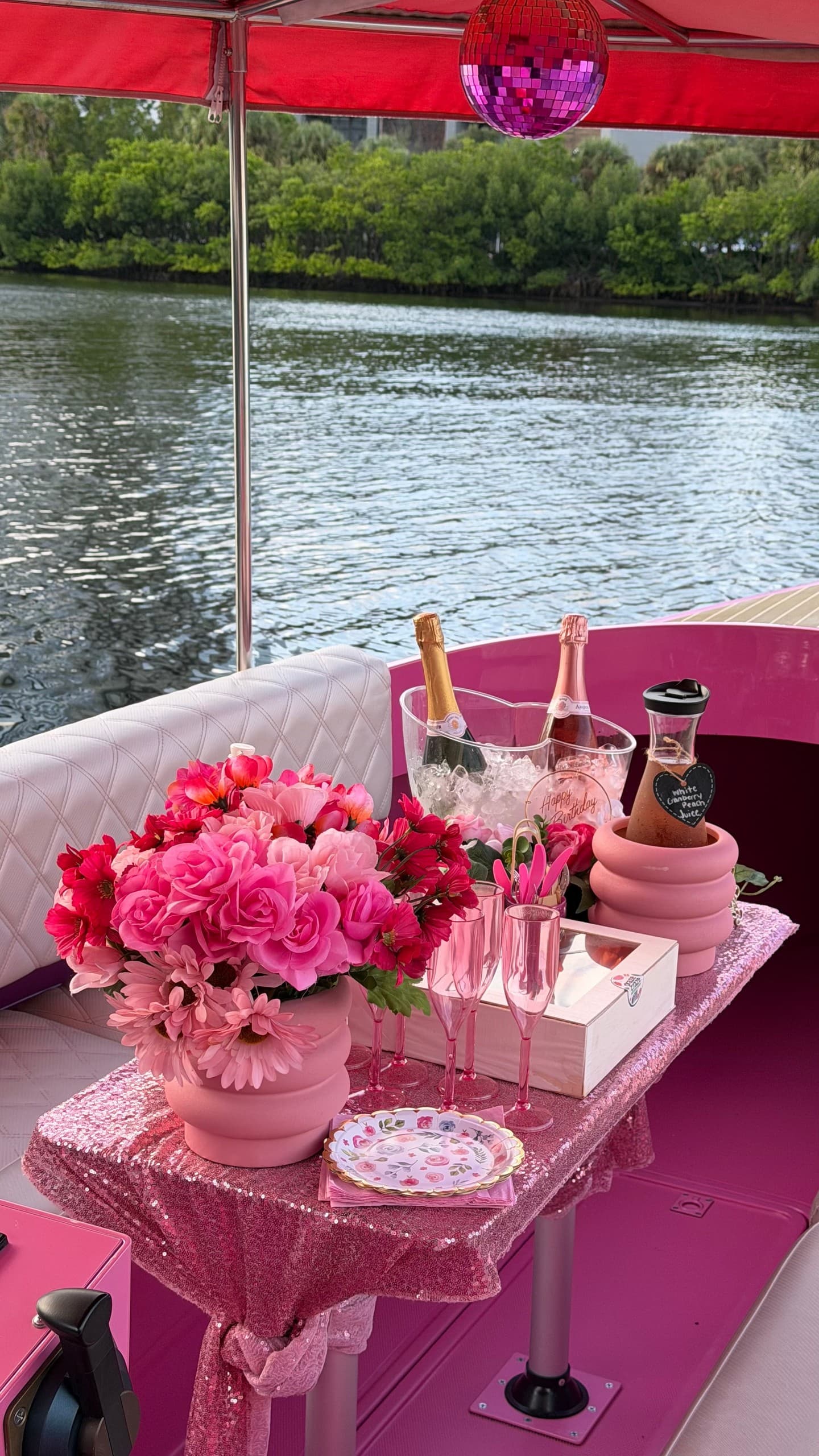 Pop, Pour & Pair: Private Mimosa Brunch Cruise on Tampa Bay