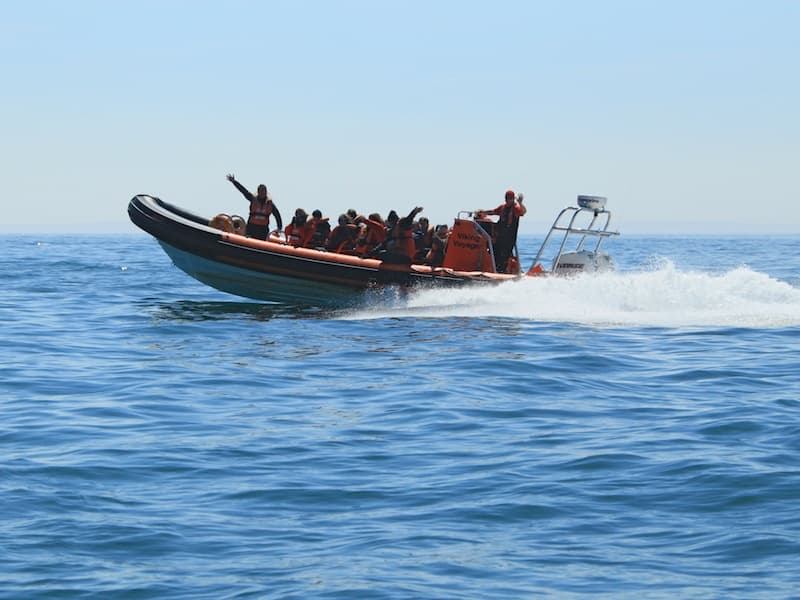 Speedboat RIB tour with passengers cutting through blue sea