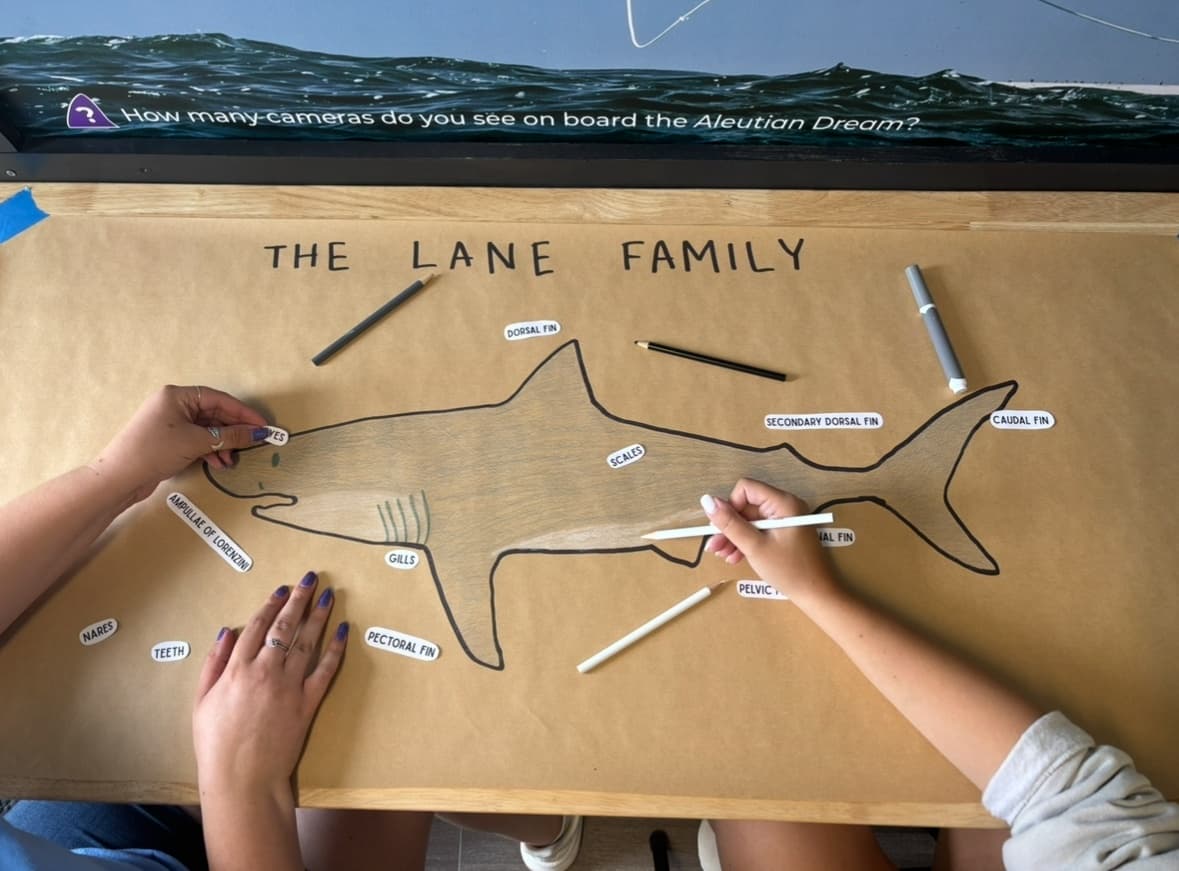 Sharks 101 Family Adventure at Atlantic White Shark Conservancy