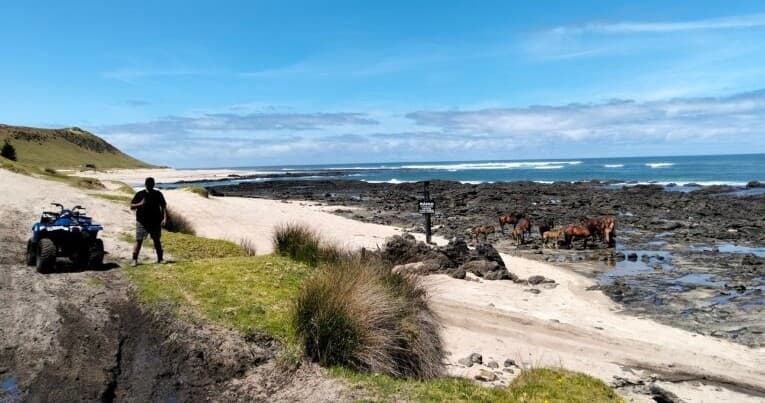 Whenua & Moana Full-Day Tour to Cape Reinga: 4x4 Kai Gathering & Hāngī photo 1
