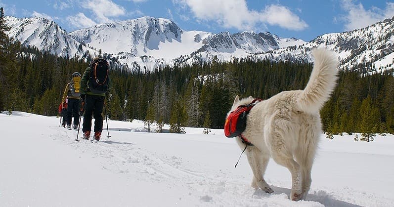 Guide to Alpine Touring and Splitboarding in the Wallowa Mountains, Oregon