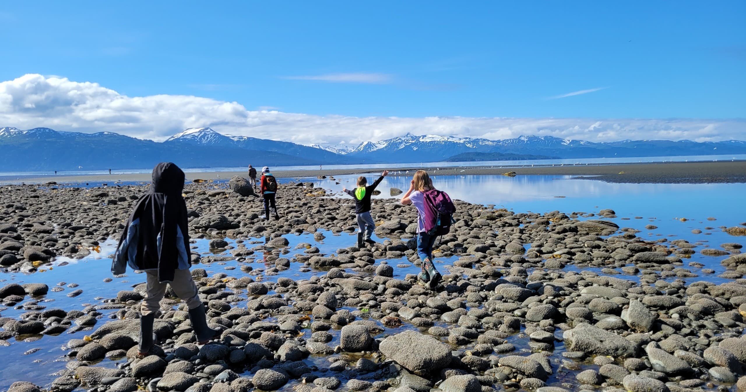 Wildlife & Nature Program at Center for Alaskan Coastal Studies