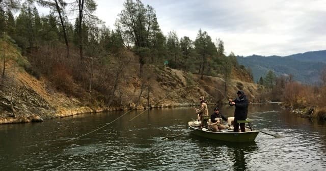 Trinity River Full Day Steelhead Fishing in Weaverville