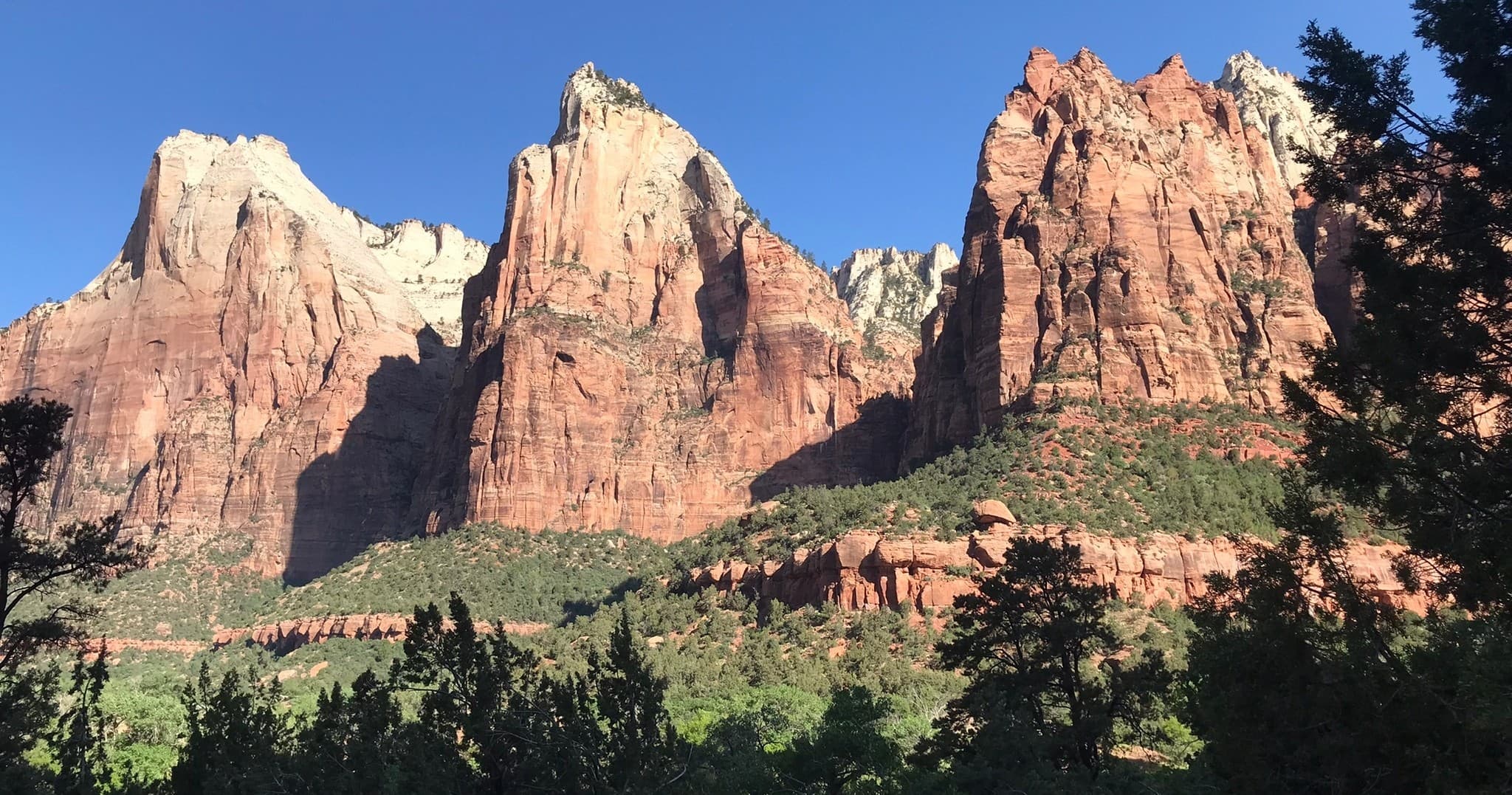 Zion Hiking Tour: Guided 5–7 Mile Hike Through Zion’s Main Canyon photo 3