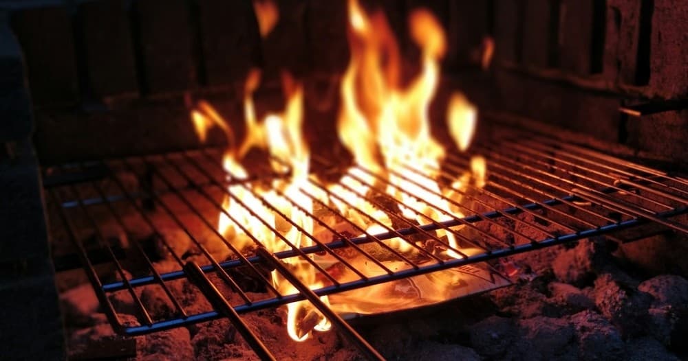 Land Adventures at De Alpacaboerderij: Group BBQ Experience