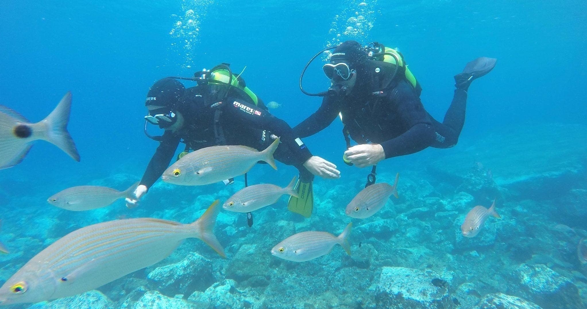 Open Water Certification with Pura Vida Diving in Las Palmas