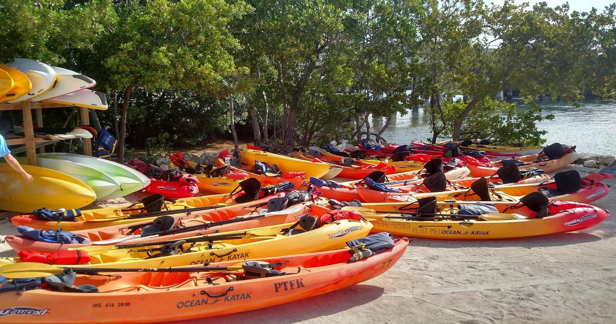 Colorful kayaks lined on a sandy beach near mangroves in the Florida Keys
