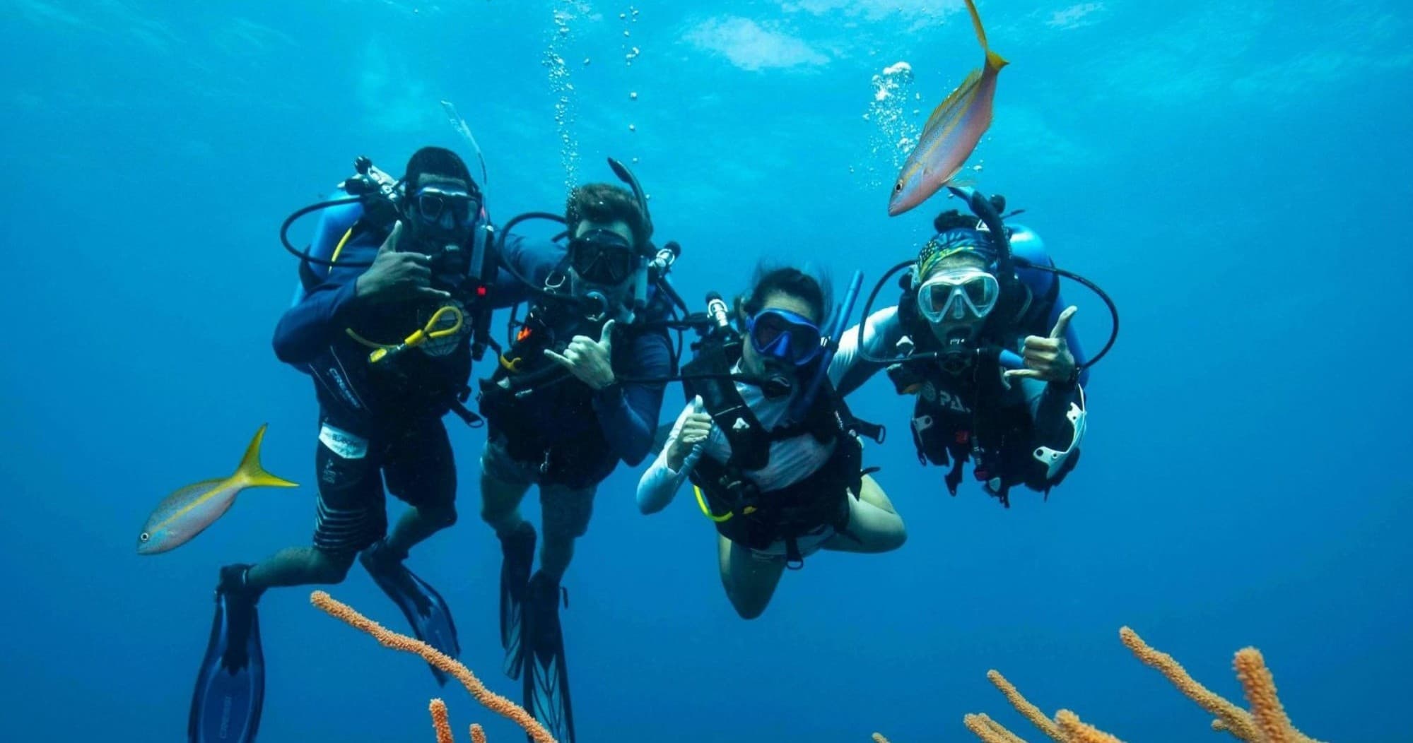 Discover Scuba Diving in San Diego: A Beginner’s Underwater Adventure