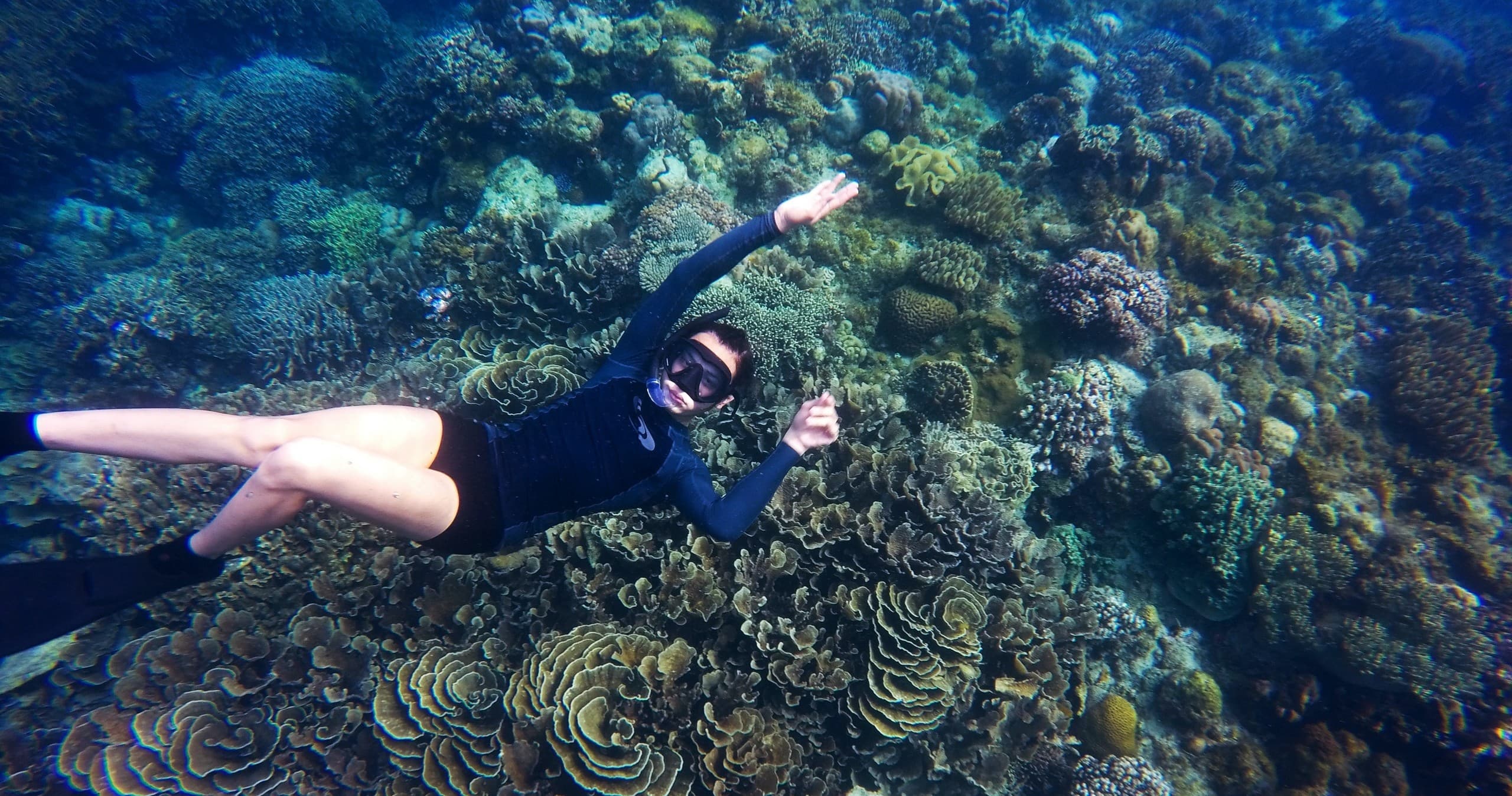 Reef Snorkeling with Lower Keys Offshore Adventures in Little Torch Key