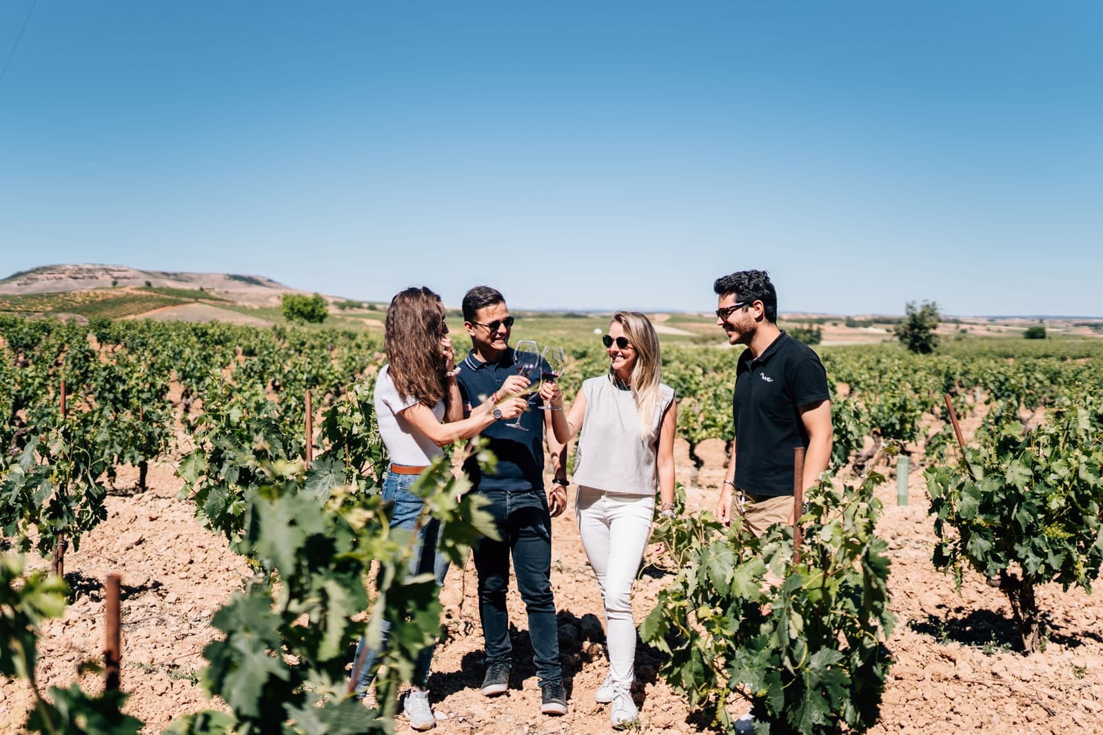 Wine & Culture Tour with World Experience from Madrid