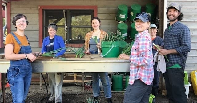 Sustainable Agriculture Volunteering at Crabtree Farms